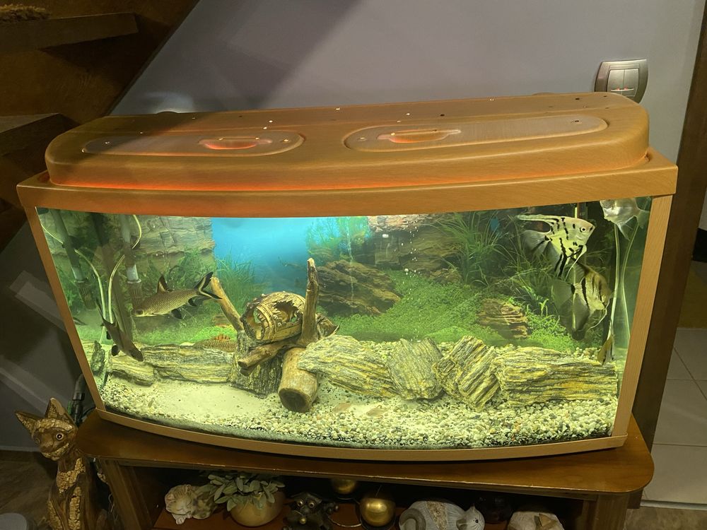 Akwarium 200 l caly zestaw