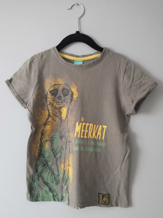 zestaw 2 bluzek z krótkim rękawem, 4F, Little Kids, rozmiar 116-122 cm