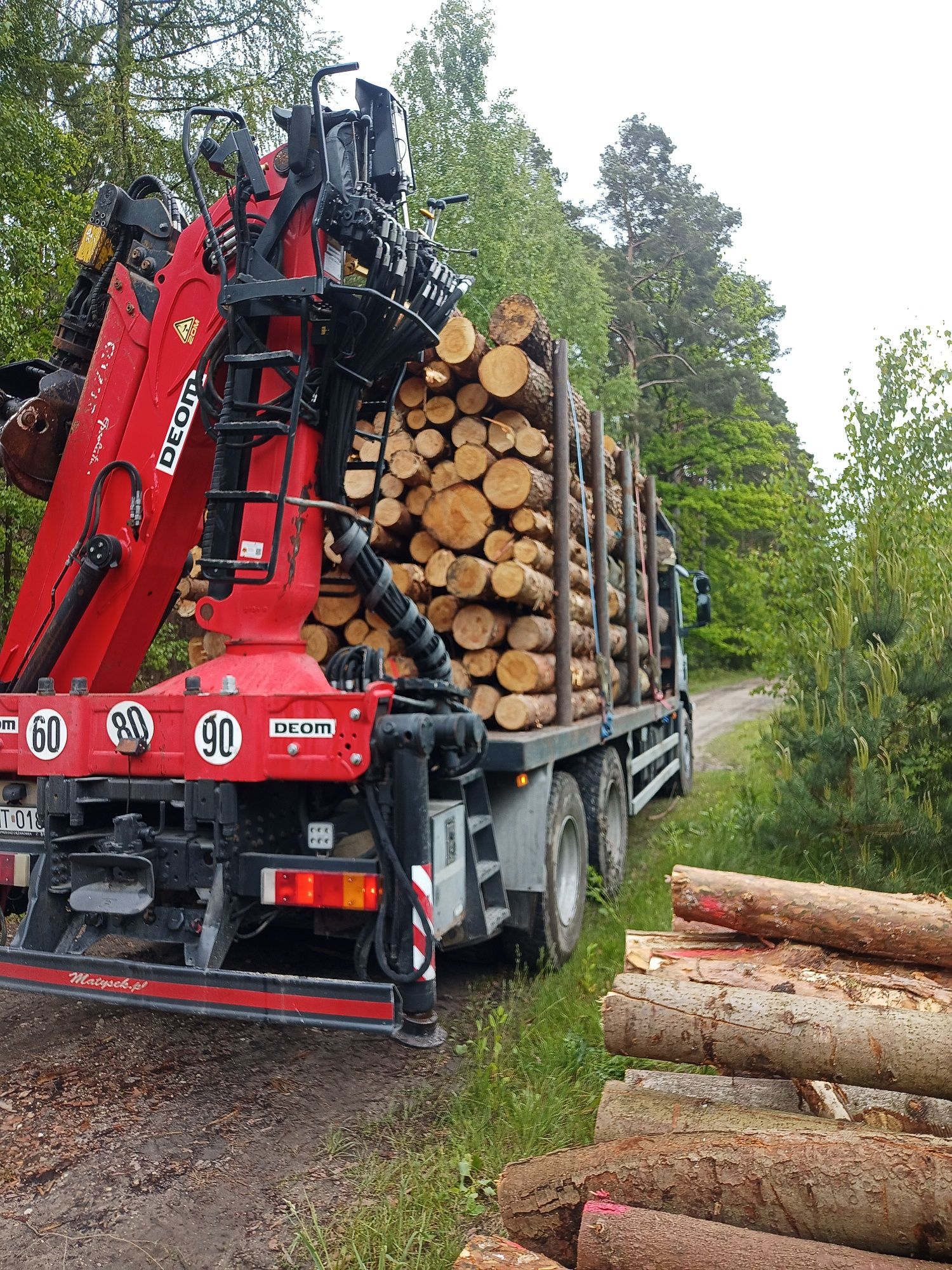 Drewno opałowe, transport drewna z hds