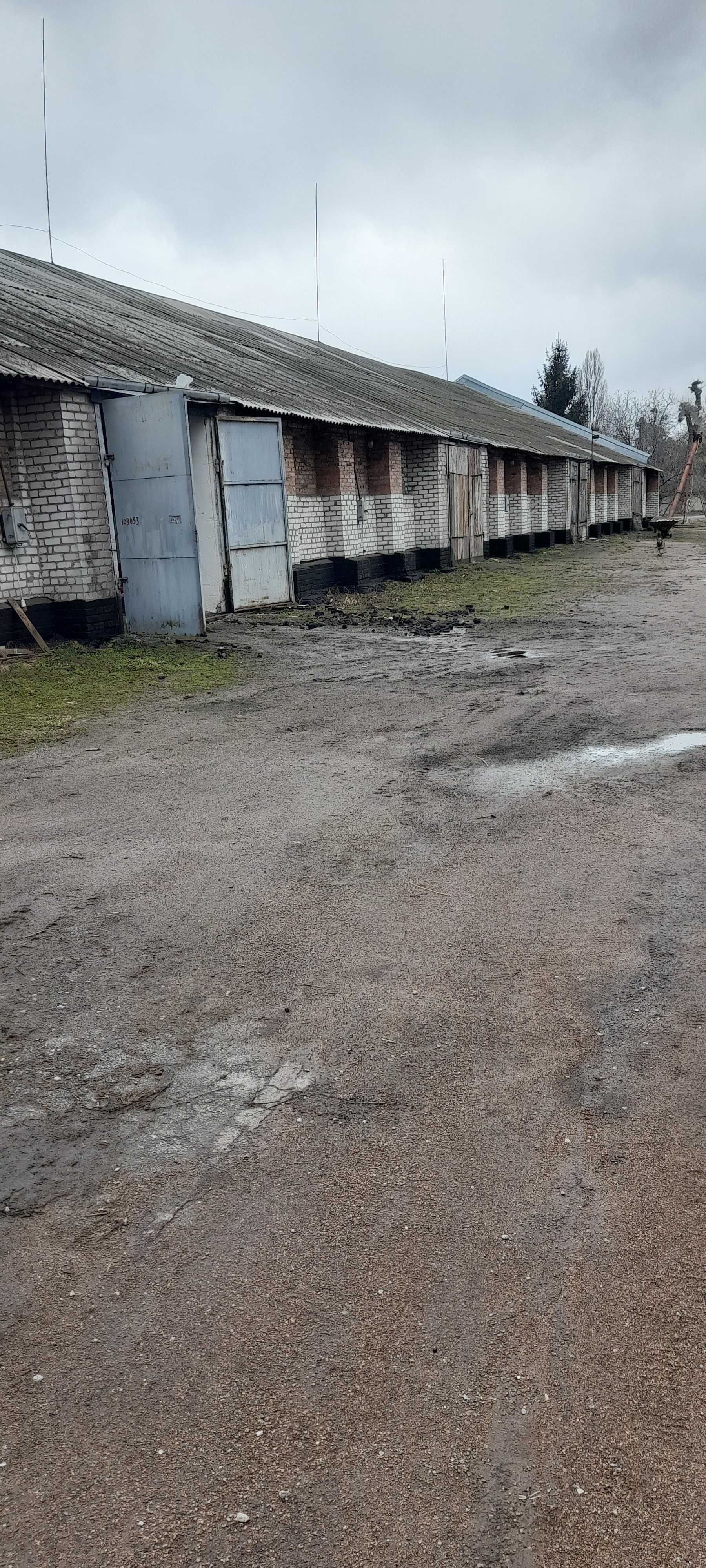 Оренда складів, приміщень