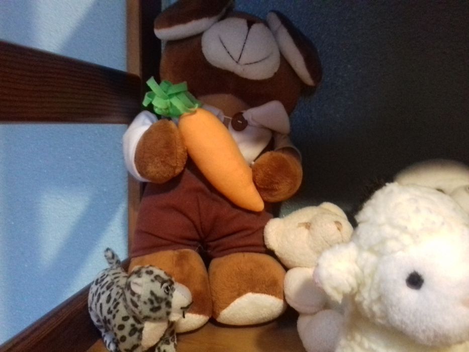 Conjunto de peluche 20€
