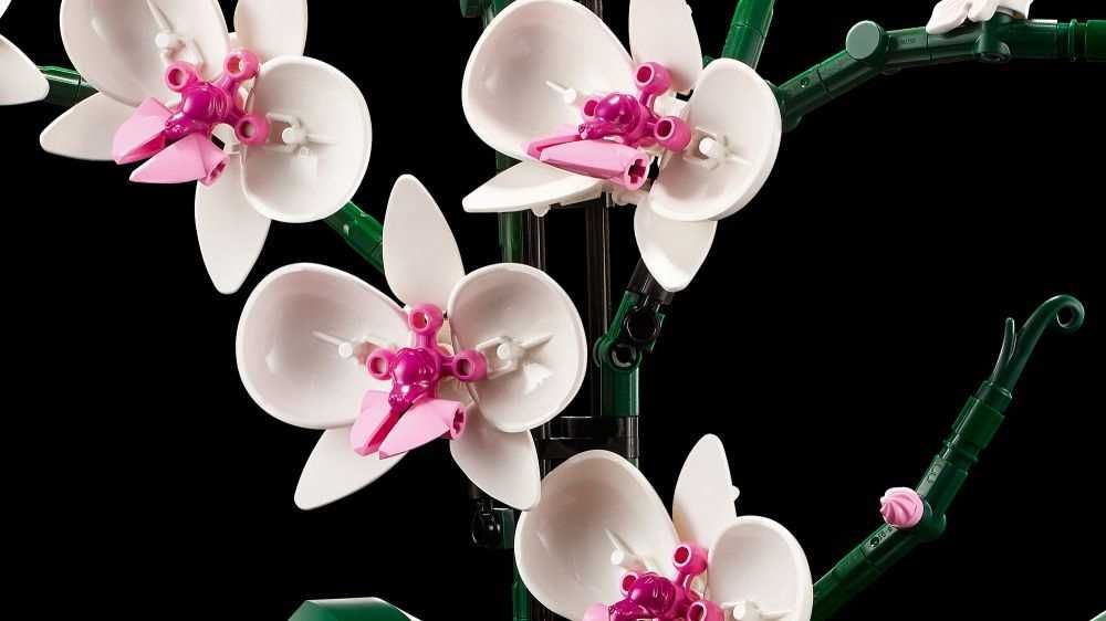 Lego creator ORCHIDEA STORCZYK kwiat Lego10311 PREZENT Darmowa dostawa