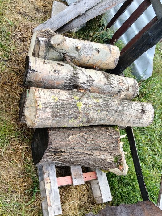 Lipa do rzeźbienia rzeźby