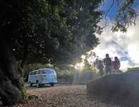 Vendo VW Transporter