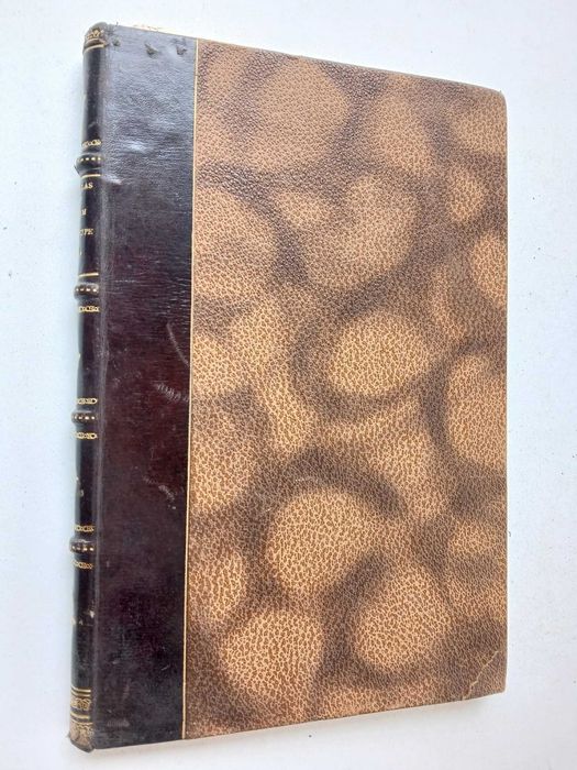 Cartas de África a viagem do príncipe real