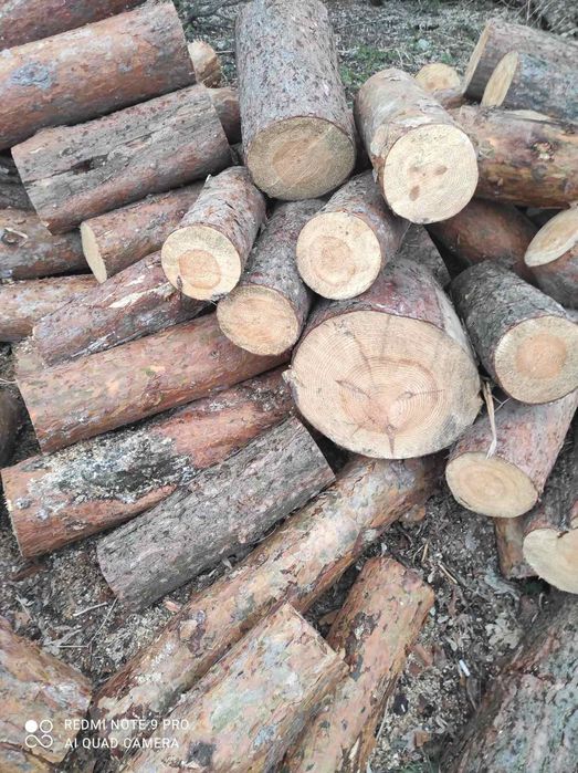 Продаются      дрова