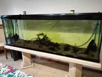 Aquario 1,98 mts comprimento