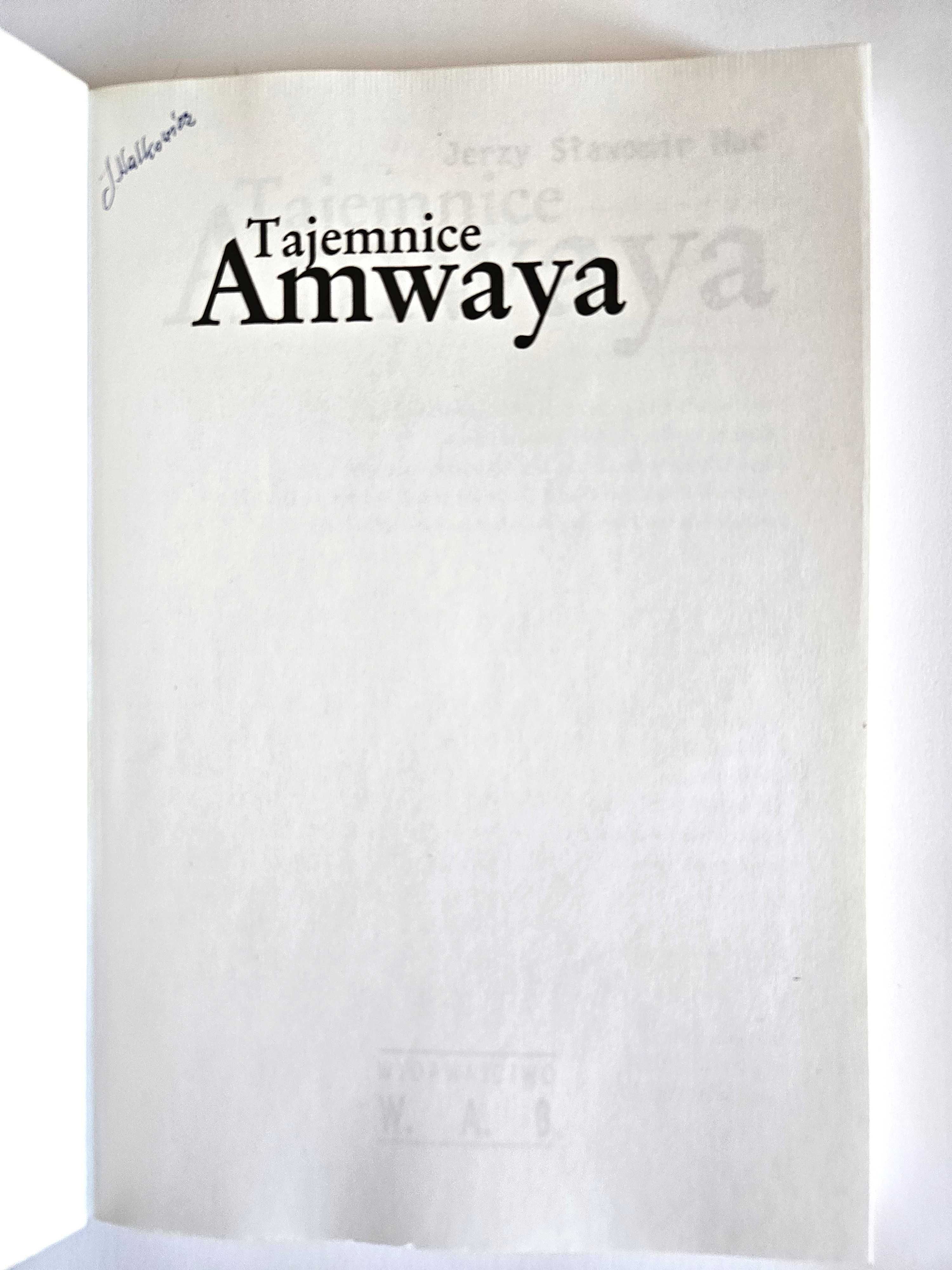 TAJEMNICE AMWAYA - Jerzy Sławomir Mac