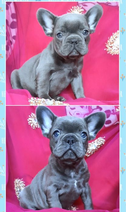 Милі та кумедні хлопчики та дівчатка