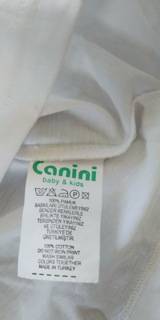 Bluzeczka i krótkie spodenki 74 cm CANINI BABY & KIDS