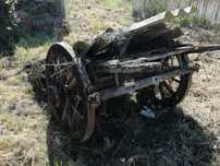 Carro de vacas antigo