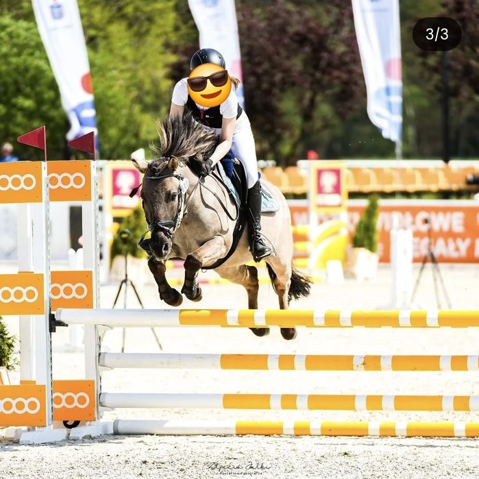 Kuc C Grupa do sportu, ambitnej rekreacji