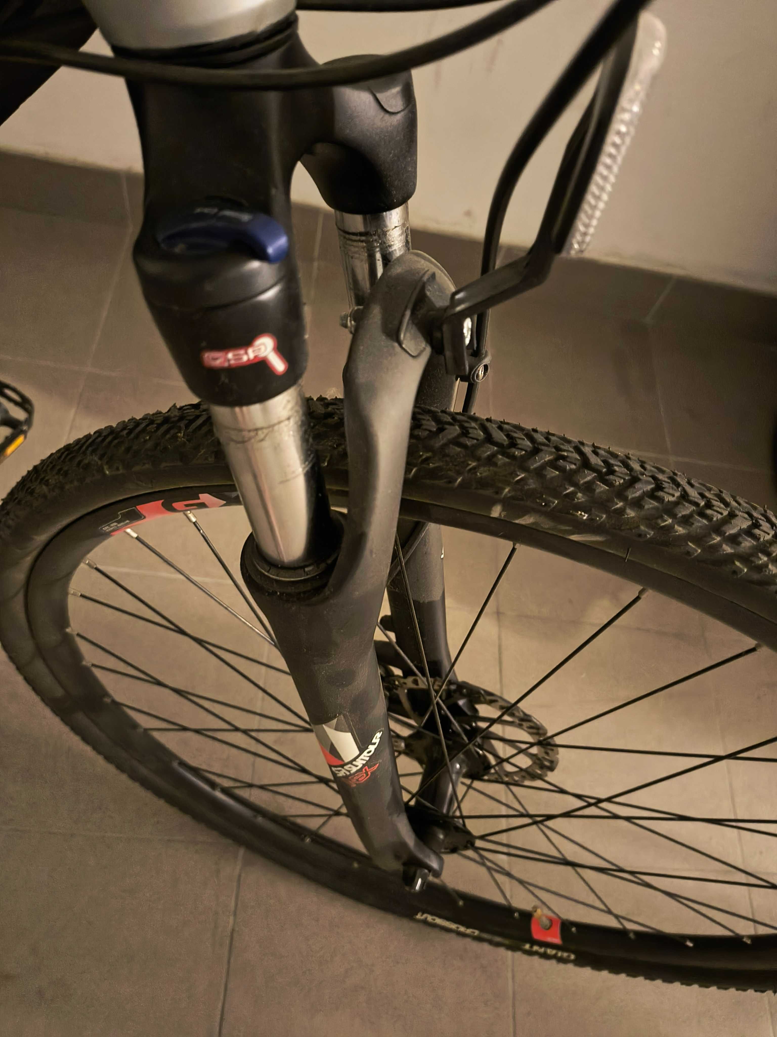 Rower Giant  Roam 2