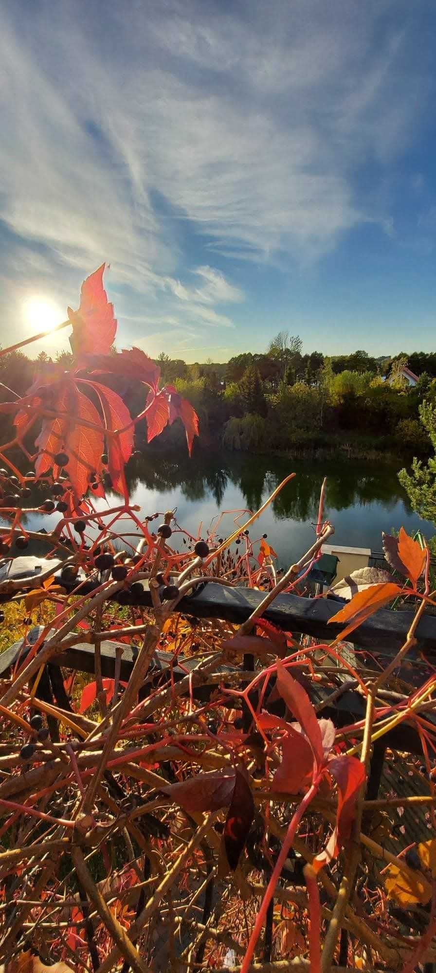 Domek nad jeziorem ,jacuzzi , balia noclegi majówka kaszuby Trójmiasto