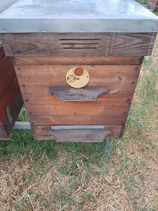 Продам 10-ти рамочные улья в количестве 10 шт.