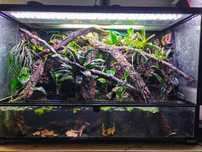 Duże terrarium z częścią wodną