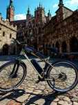 E-bike rent tourist / E-Bike-Verleih / Alquiler de e-bike turistas