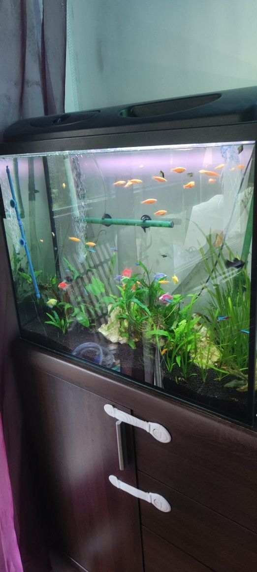 Sprzedam akwarium 170l z filtrem