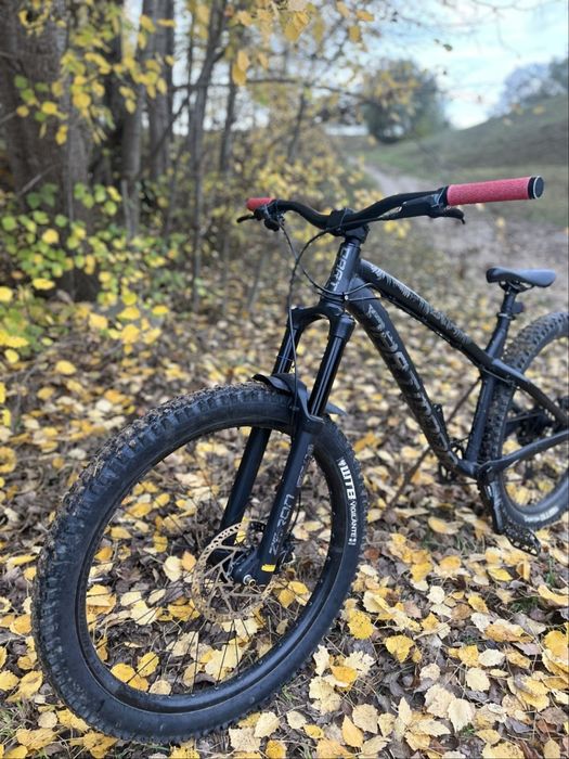 Dartmoor Hornet 2020 rama L