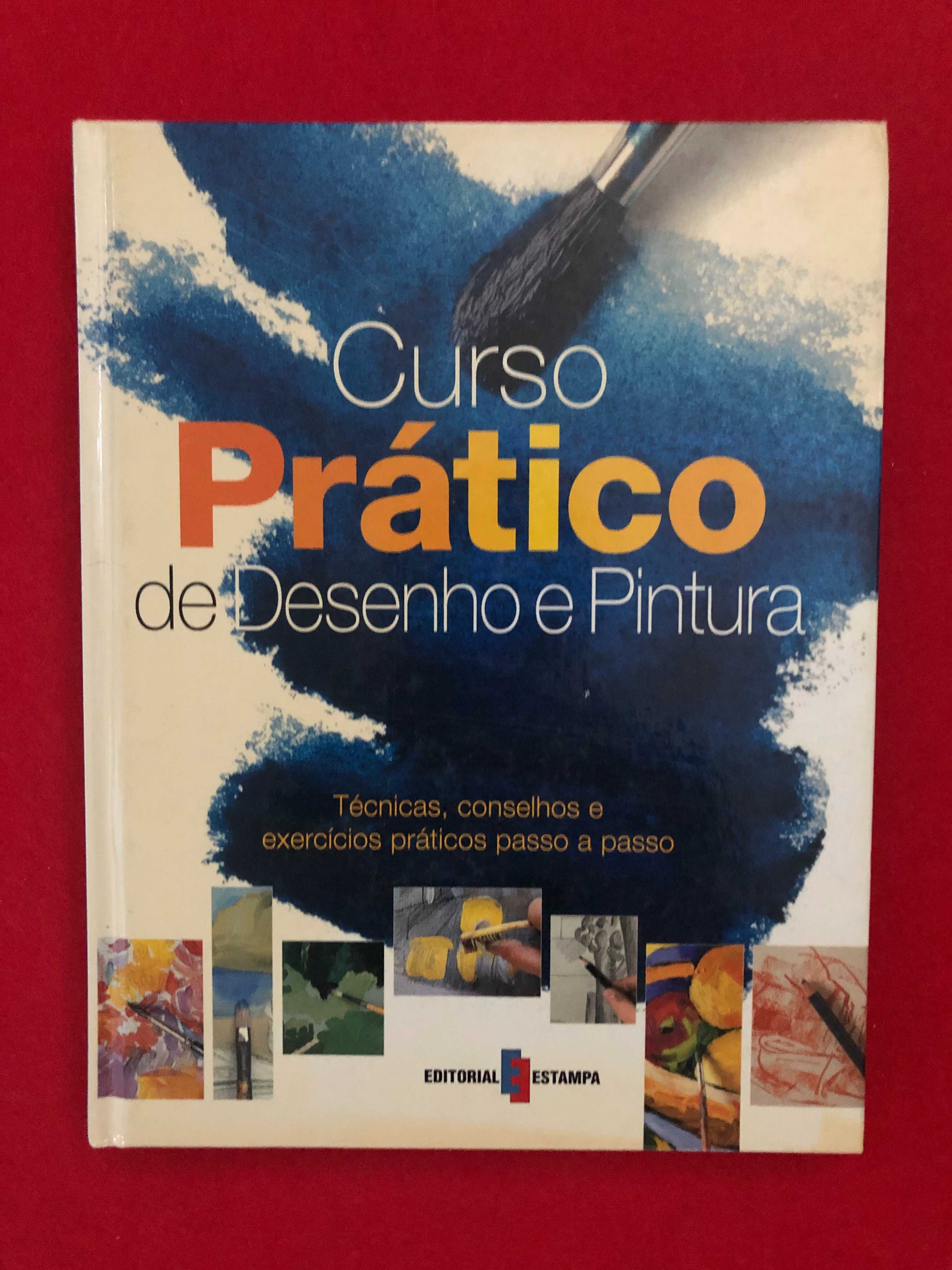 Curso prático de Desenho e Pintura - Maria Fernanda Canal