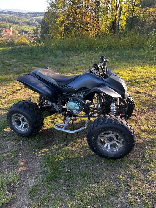 Bashan 200 eagle