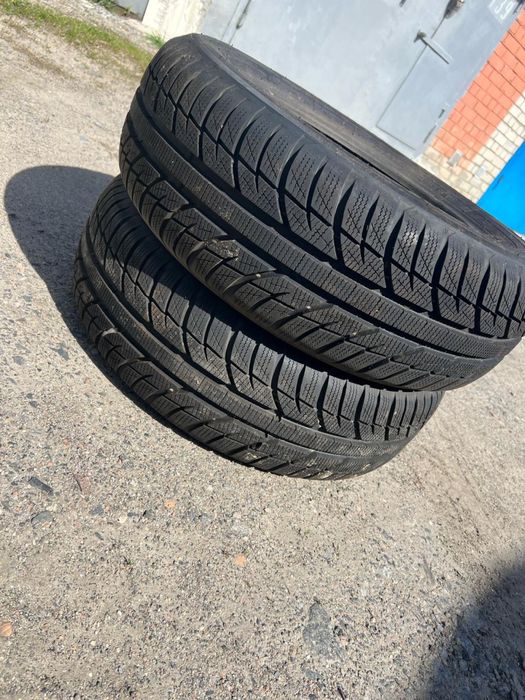 Резина зимова Toyo Snowprox 2шт 195/60 R16