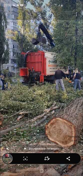 Спил дерев , вивоз , розчистка .