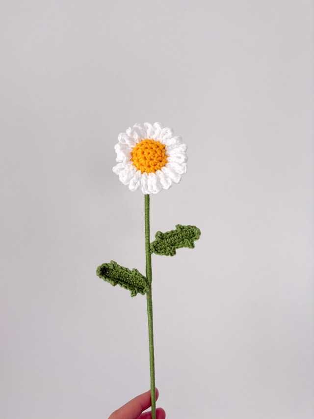 Margarida em crochet