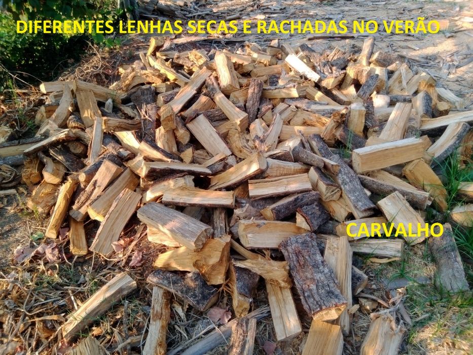 Lenha seca e rachada no Verão