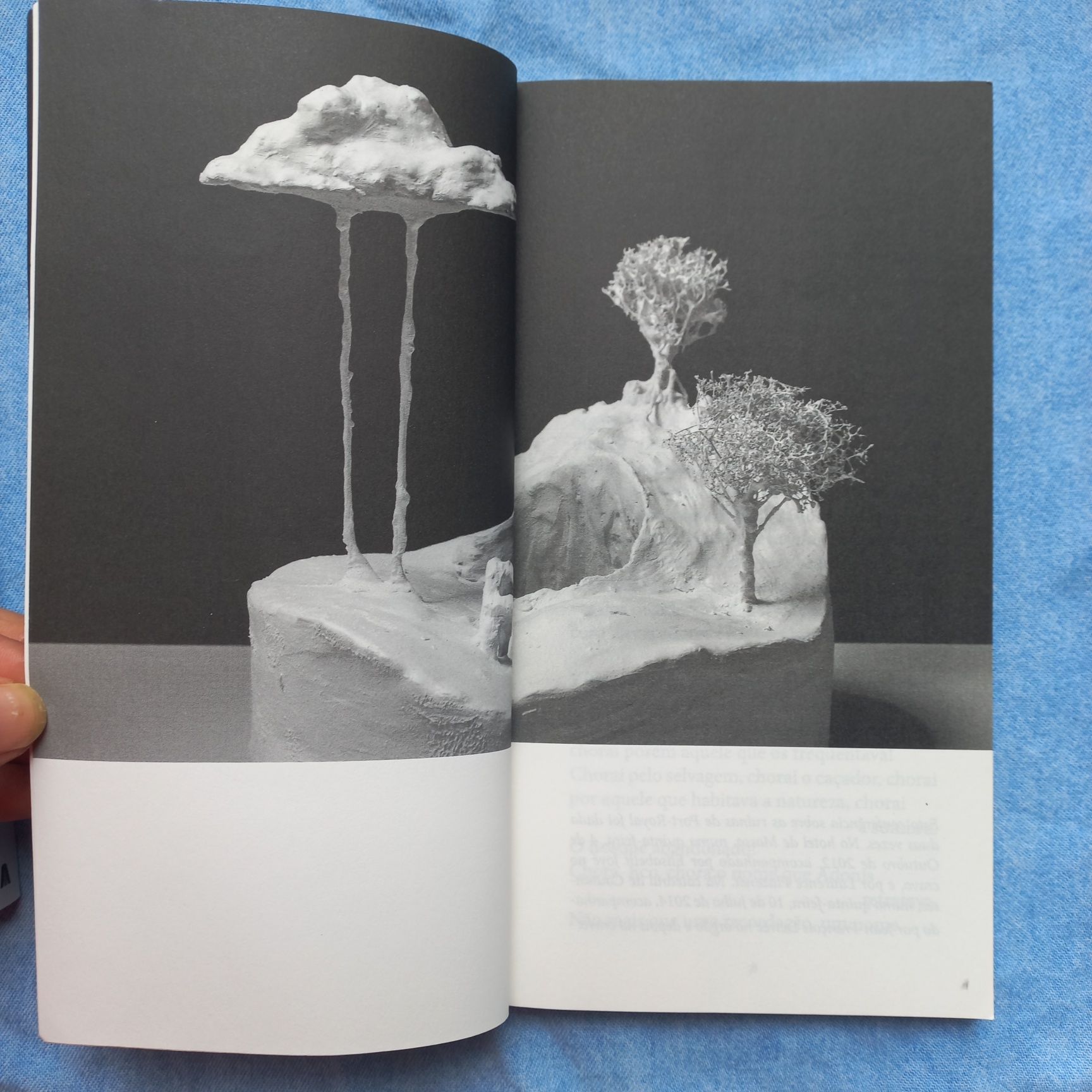 NOVOS Herberto Helder/Pascal Quignard