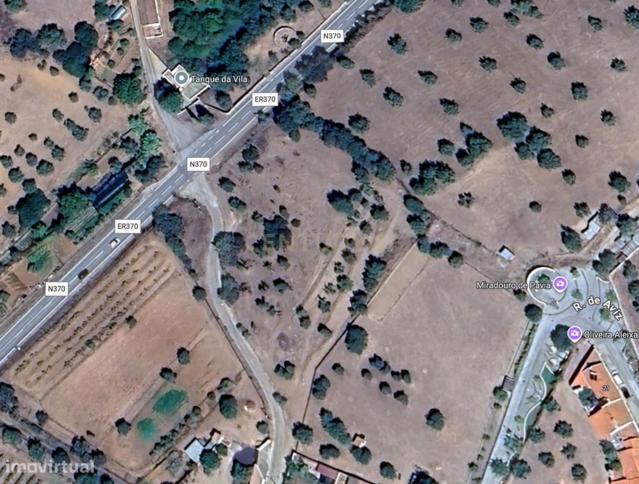 Terreno Rústico com Oliveiras – Pavia, Ladeira da Fonte