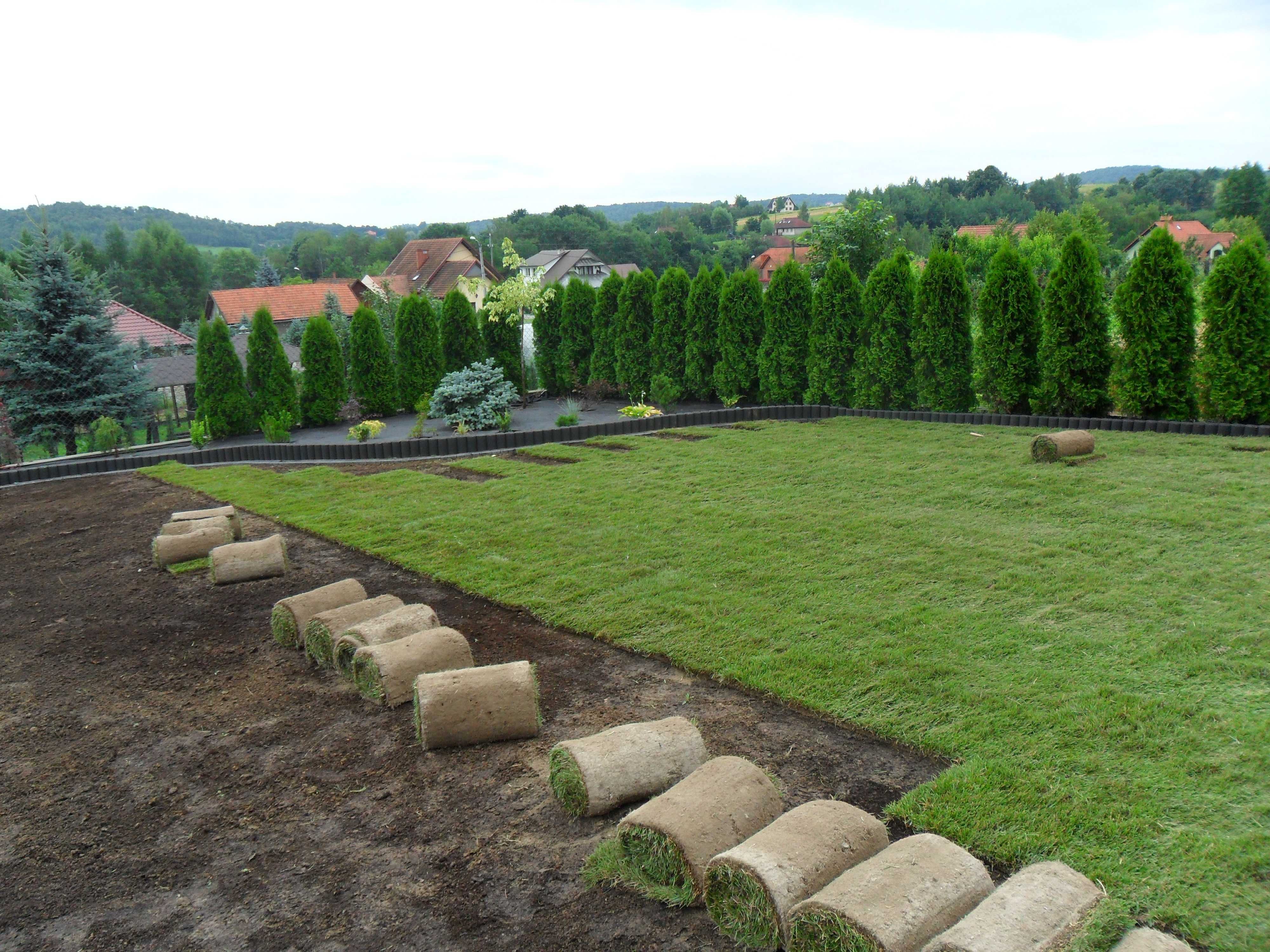 Zakładanie ogrodów, zakładanie trawników, usługi ogrodnicze, lato 2024