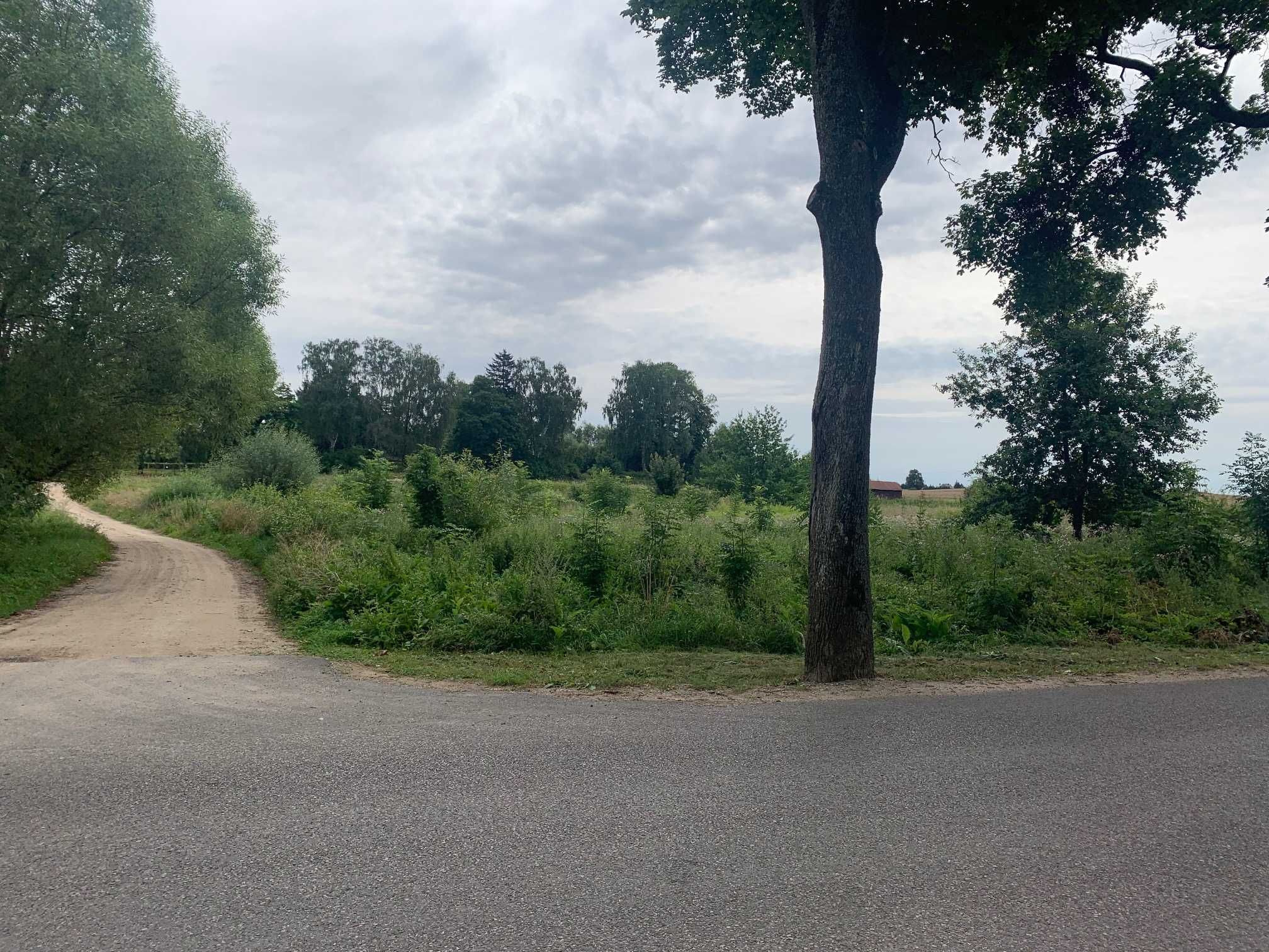 Działka budowlana w miejscowości Boguchwały, gmina Miłakowo