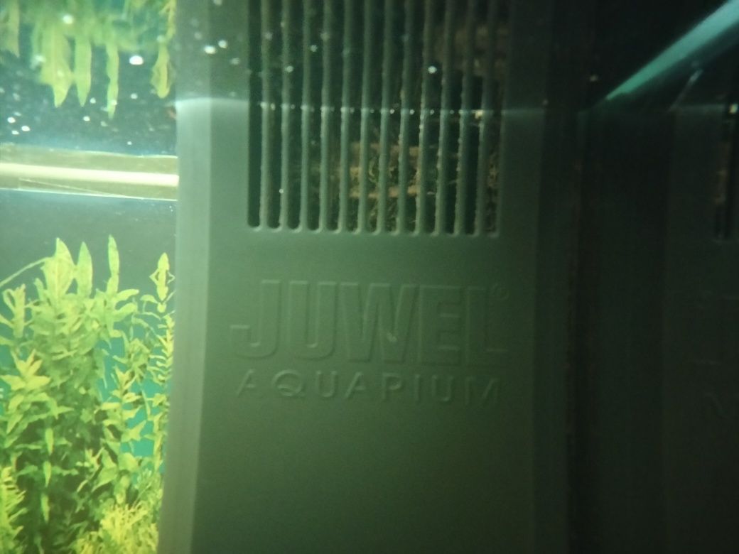 Aquário Juwel completo