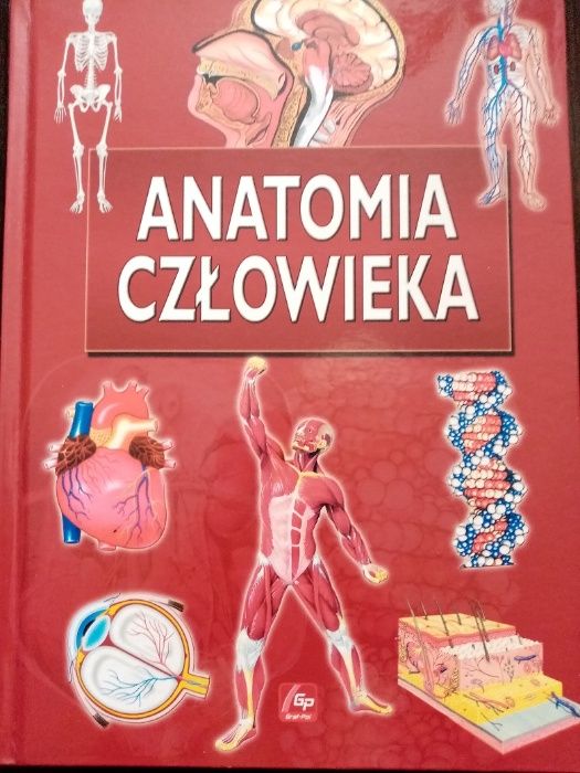 Książka Anatomia Człowieka używana