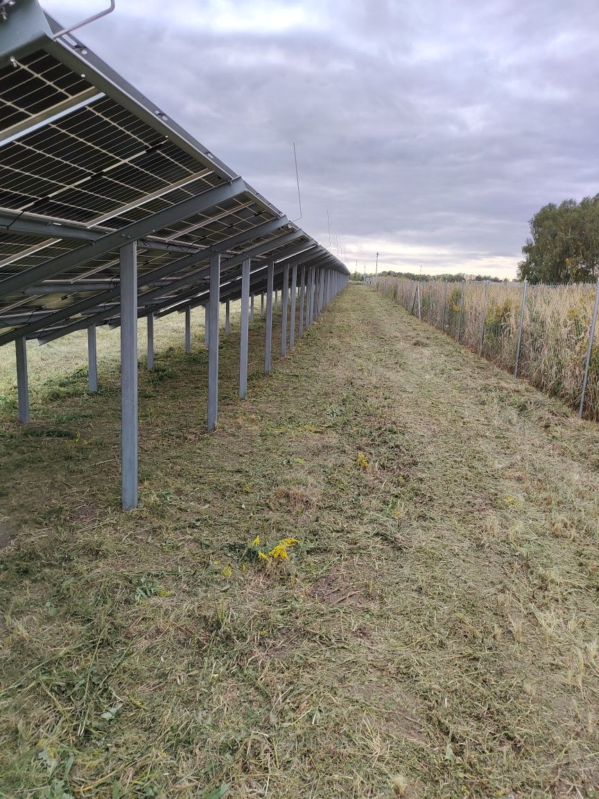 Koszenie farm fotowoltaicznych trawy nieużytków paneli