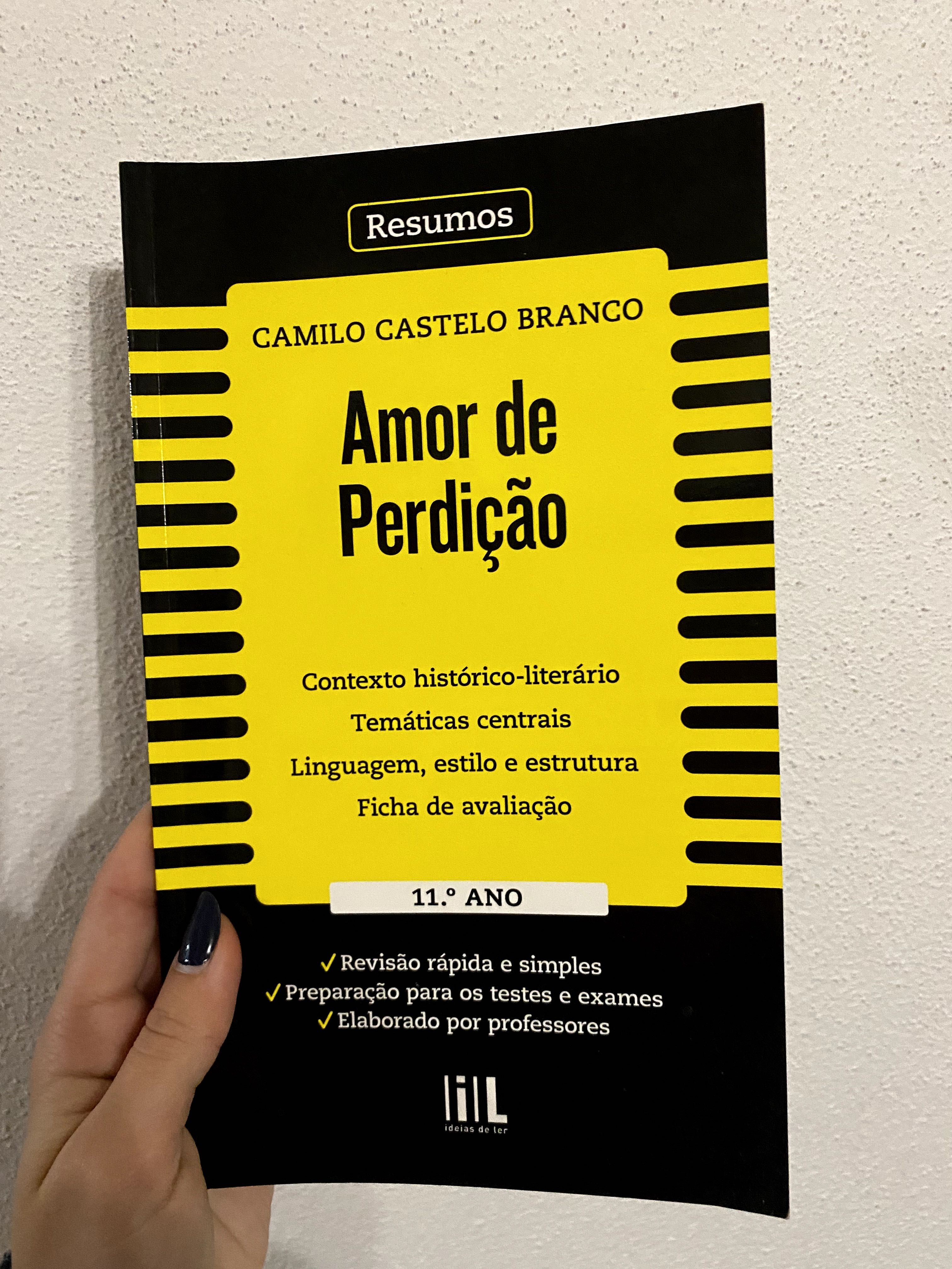 Resumo "Amor de Perdição"