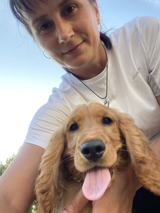 Послуги кінолога Київ та передмістя