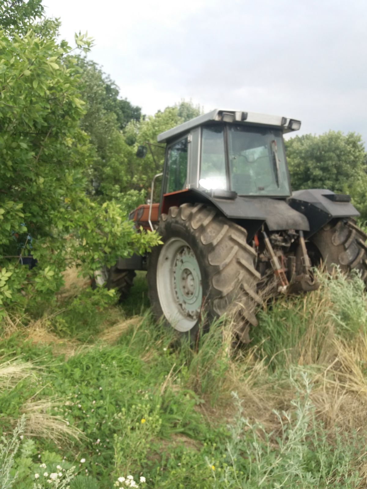 Massey Ferguson 3690