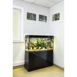AQUAEL GLOSSY 125L ST 80x35x54 Zestaw Akwarium Czarne Day&Night