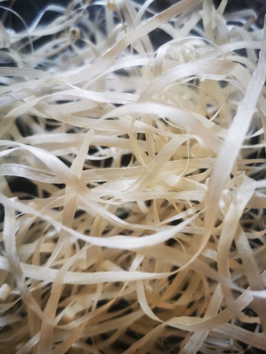 Wełna drzewna sucha cena za 1kg