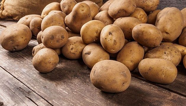 Продам насінну (середню) картоплю