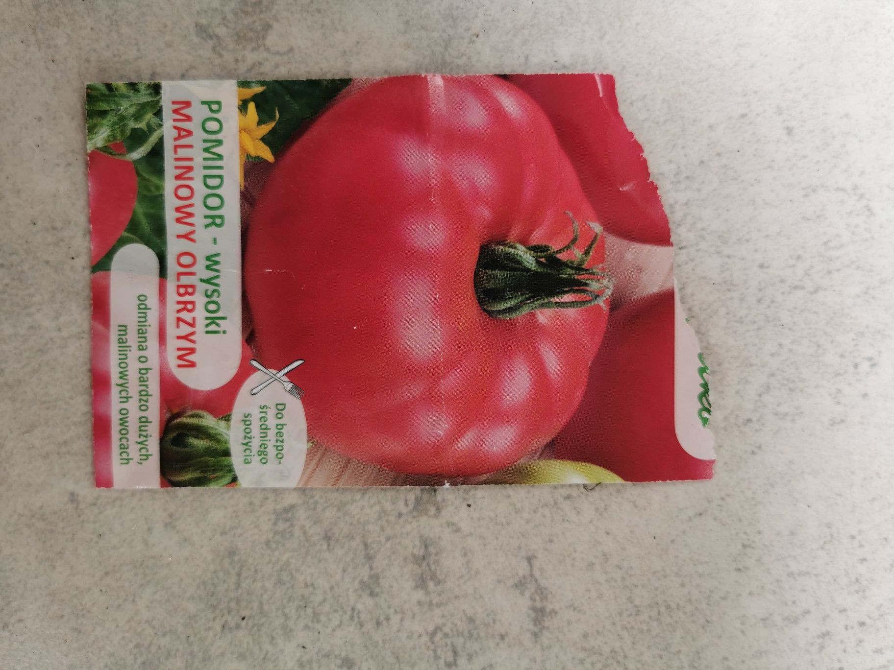 Rozsada pomidor malinowy