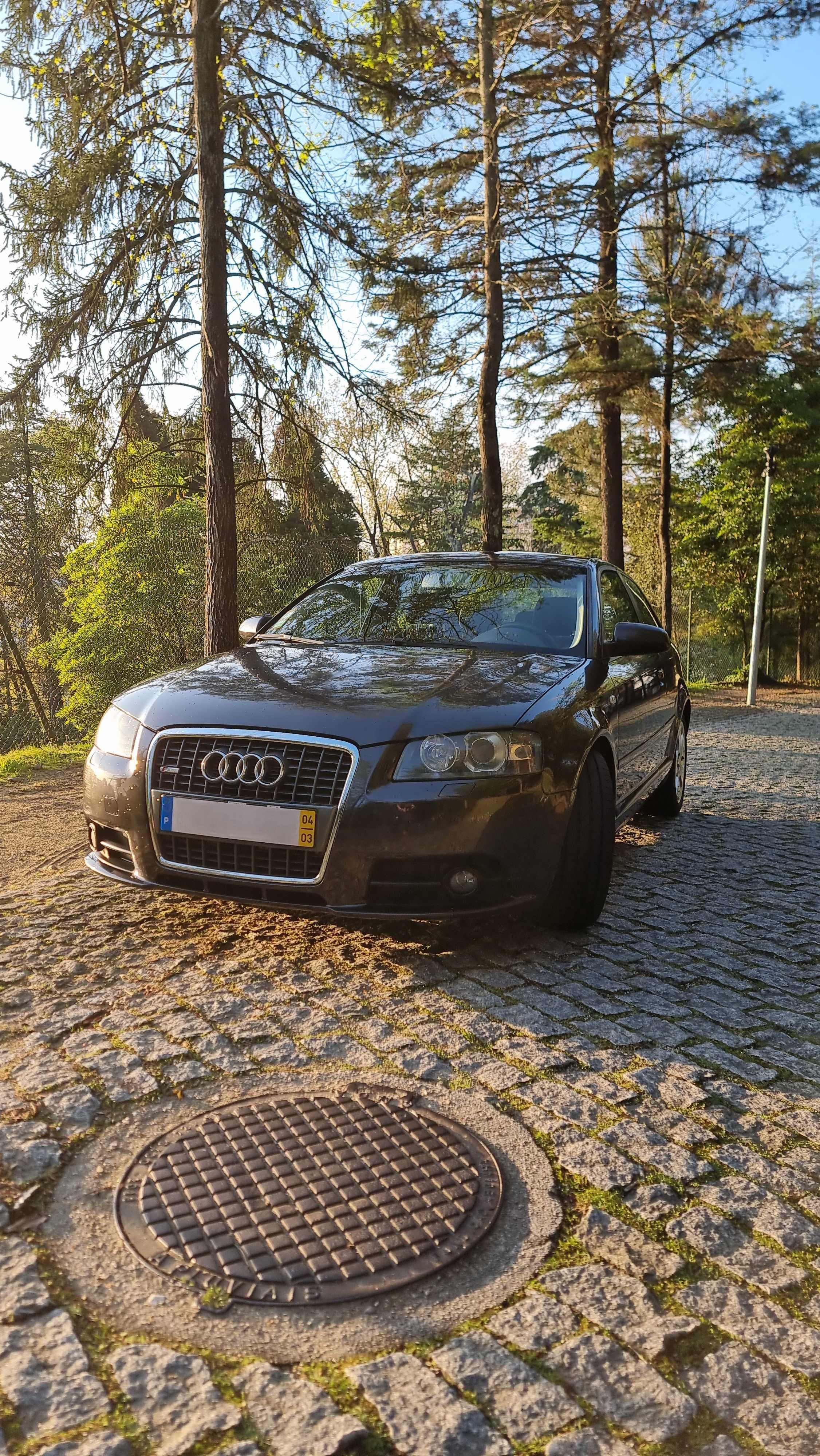 Audi A3 8P 2.0 TDI Sport