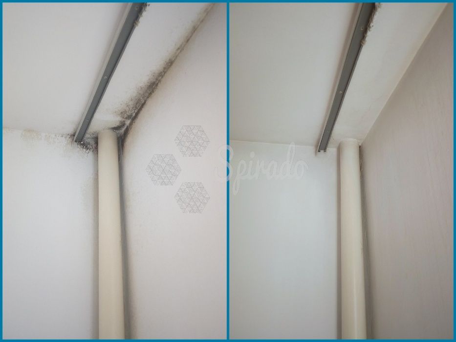 Odgrzybianie|Usuwanie pleśni ze ścian, okien, itp.|Pomiary wilgotności