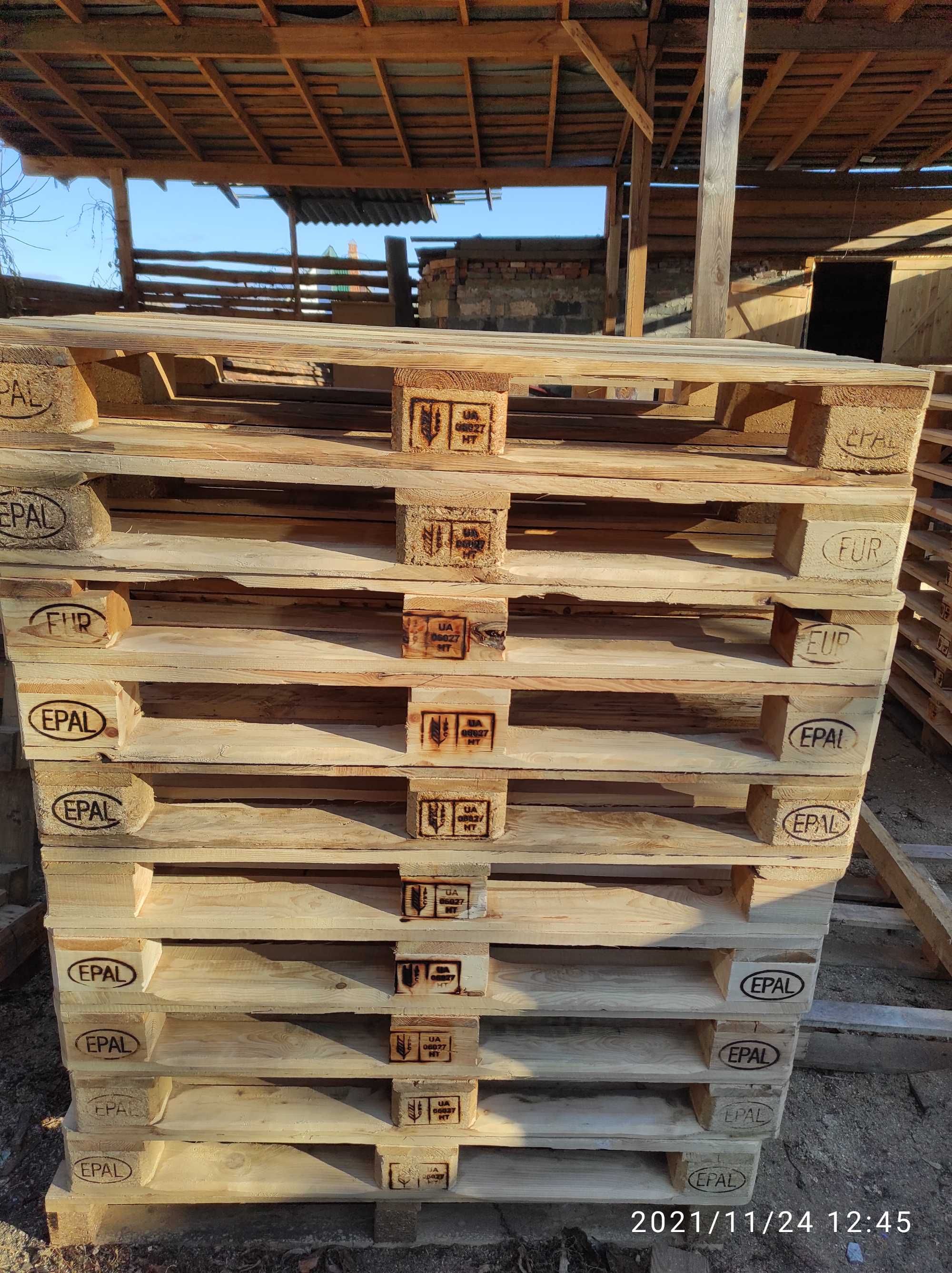 Поддоны  новые  деревянные UA НТ 06027  в наличие.