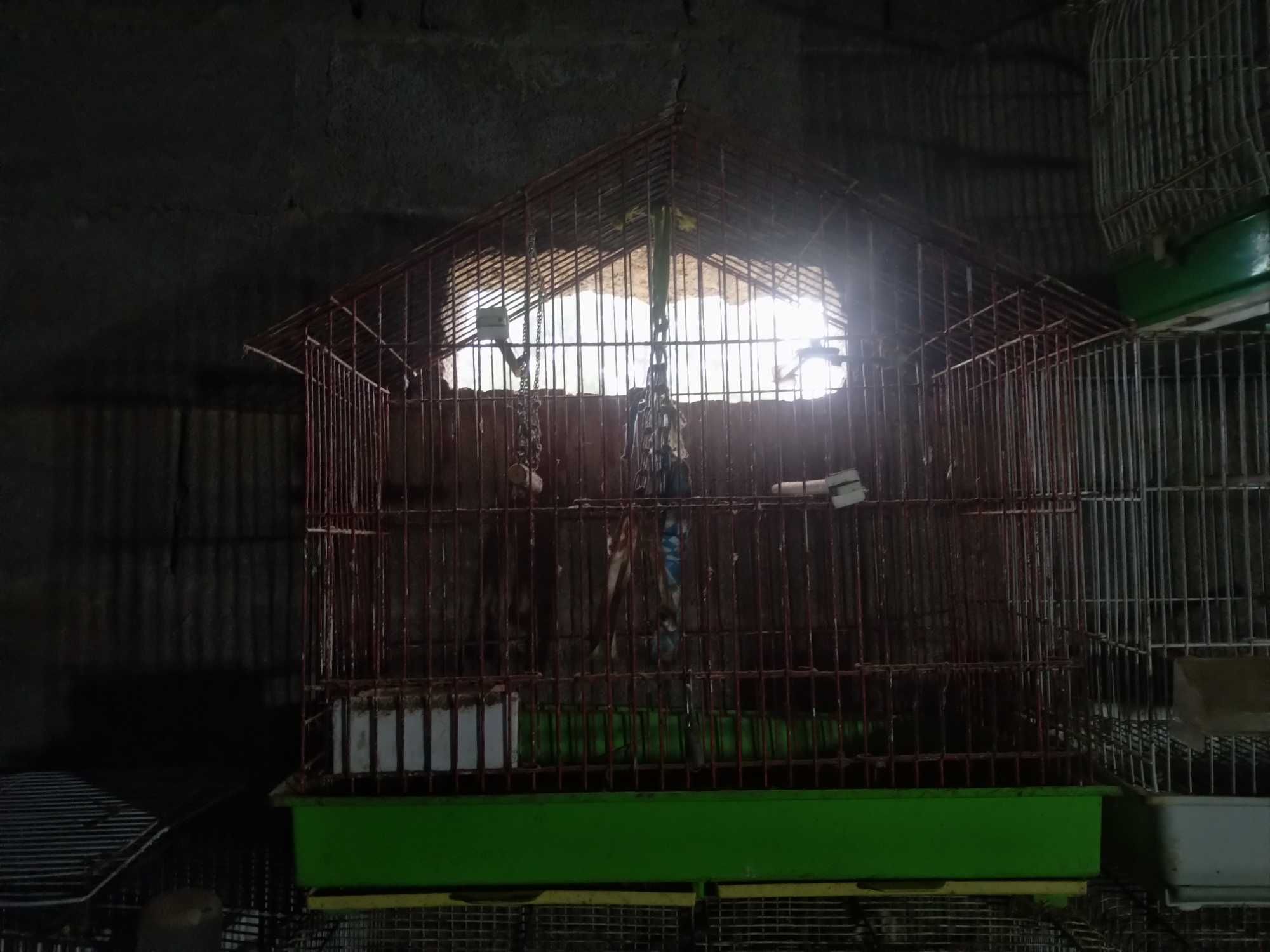 Gaiolas para pássaros