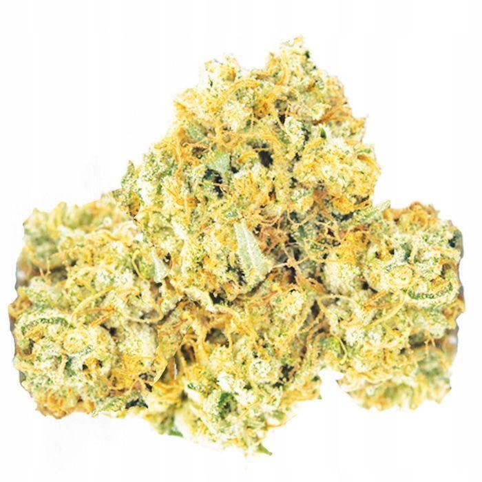 20G Susz CBD Pineapple Haze 0,20% HURT Producent Susz konopny