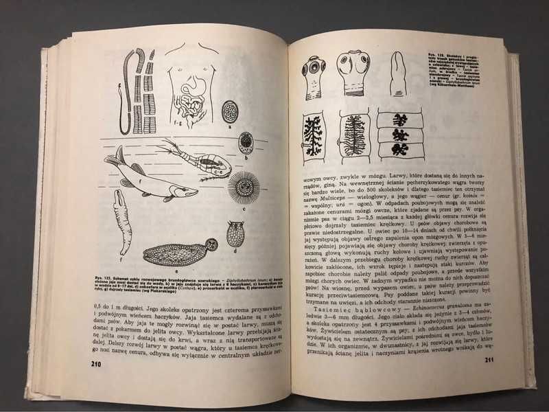 Wstęp do zoologii - Kurt Erdmann