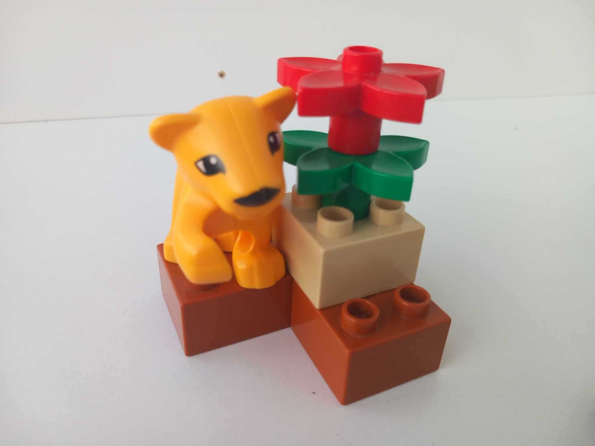 Lego DUPLO 4962, Małe Zoo